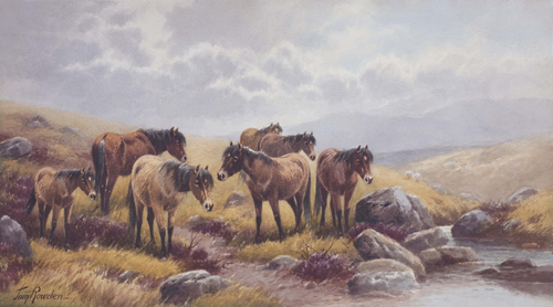 Thomas Rowden 1842 - 1926"Dartmoor ponies at Lydford"Aquarel : 26 x 47 cm Gemerkt : Tom RowdenHerkomst : Particuliere collectie Engeland